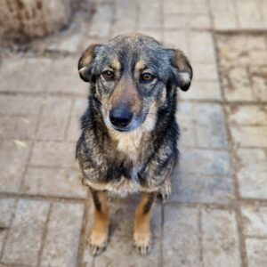 PAULINA - vermisst 11/24