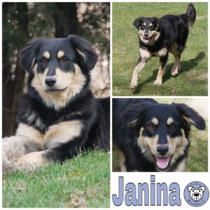 Janina in 21493 Möhnsen *vermittelt*