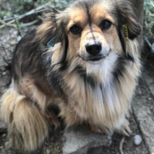 AILA - RBB 27.10.2022