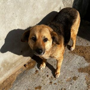 KENIA - vermittelt Manuela