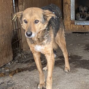 MERIDA - RBB 08/2022