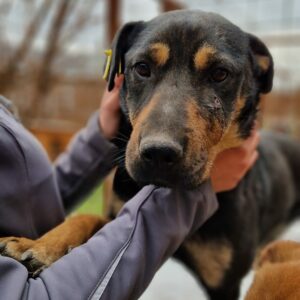 PHEMBA auf Pflegestelle in PLZ 8 *vermittelt*