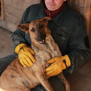 MAIKE - reserviert PVA vermittelt