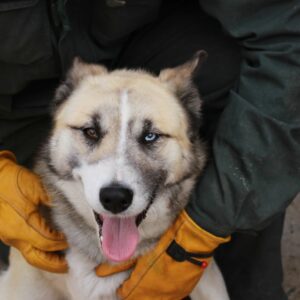 FAMENO - reserviert IH DR (25.05.) - vermittelt