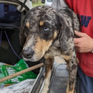 KAJON - reserviert TH Limburg vermittelt