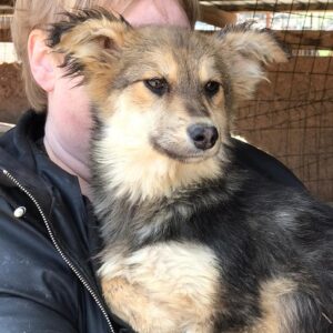 TWELKA - RBB 07/2022