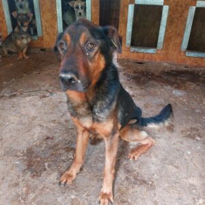 PORTUS - Notfall - reserviert Manuela vermittelt