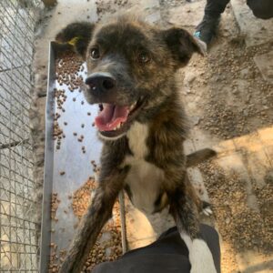 TUFFI – reserviert IH DR (02.10.) - vermittelt