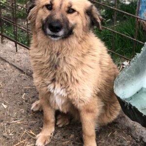 HEIDI - reserviert IH DR (22.04.) - vermittelt