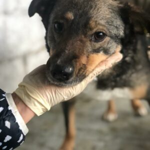 TAMI - reserviert TH Koblenz 11.10 - RBB 2022