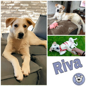 Riva in 99636 Ostramondra - vermittelt