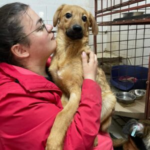 JOYCE - sollte zeitnah ausreisen - reserviert Tierhilfe Lebenswert DR (02.05.) - vermittelt
