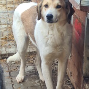 ZARA - vermisst 11/24