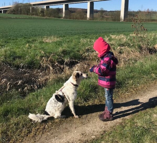 Anea in 31084 Freden *vermittelt* – Bild 13