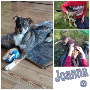 Joanna in 27299 Etelsen - vermittelt