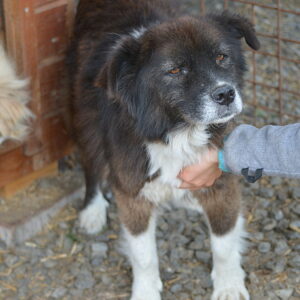 COSMA reserviert NadineH - RBB 2022