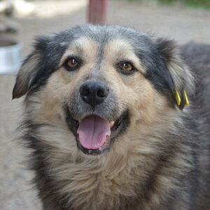 TAKKO - reserviert JW vermittelt