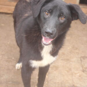 MEHDI - vermisst 04/2023