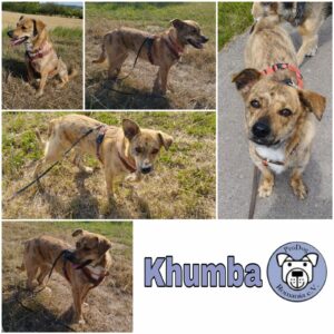 Khumba in 74372 Sersheim *vermittelt*