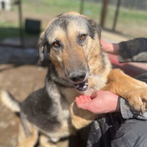 CATALIN - vermisst 11/24