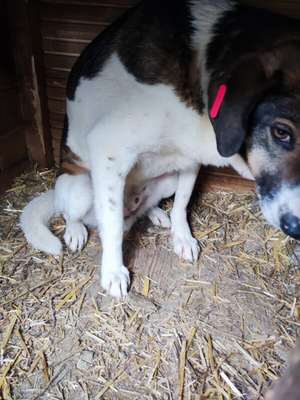 HUDSON – Bild 2