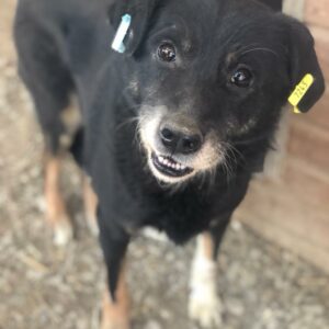 FRITZCHEN - RBB 01/23