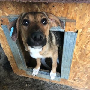 MOIRA - reserviert TH Koblenz vermittelt