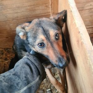 MARIETTA - vermisst 11/24