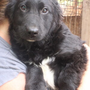 TRUEMAN - reserviert TH Wannigsmühle vermittelt