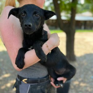 HASEBELLA - RBB 09/2022