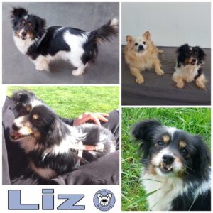 Liz in 54290 Trier - vermittelt