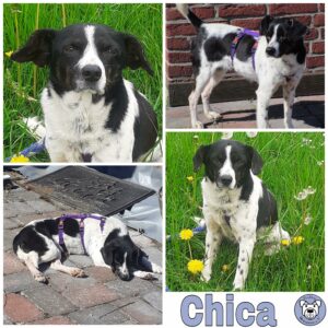 Chica in 24222 Schwentinental *vermittelt*