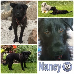 Nancy in 24222 Schwentinental