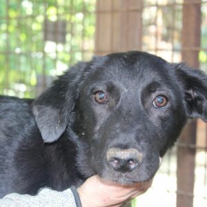 TILO - vermisst 04/2023