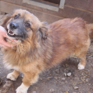 NAVID - reserviert IH DR (16.06.) - vermittelt