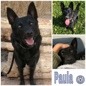 Paula in Passau *vermittelt*