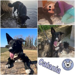 Catania in 82223 Eichenau *vermittelt*