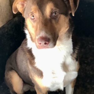 BROADWAY - auf PDR PS im PLZ Bezirk 91 - vermittelt