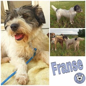 Franse in 99636 Ostramondra *vermittelt*