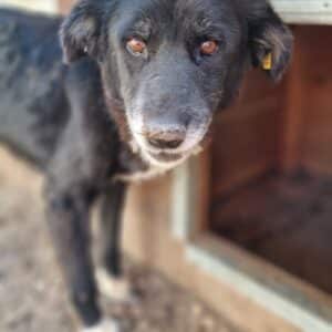 FLORENTINE - Notfall - RBB 11/2022