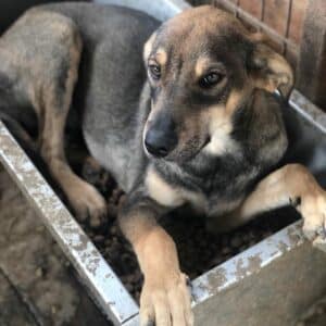 TOMIO - reserviert Manuela vermittelt