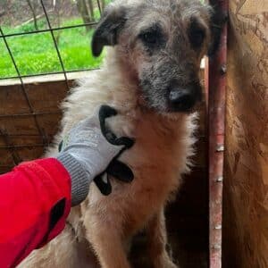 HERRMANN - Hautprobleme - vermittelt Manuela