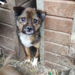 EVIN - reserviert TH Gelnhausen vermittelt