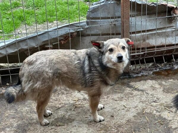 BEXTER – Bild 2