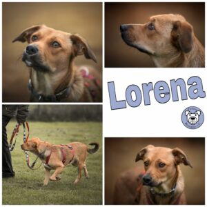 LORENA in 57632 Ziegenhain *vermittelt*