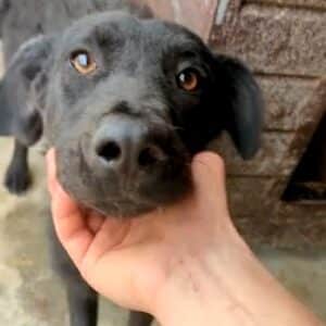 ISALIE (♀) - ausgereist zum TH Filderstadt