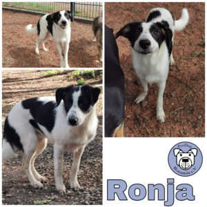 Ronja in 99427 Weimar *vermittelt*