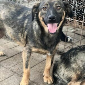 LONLEY - vermittelt NH