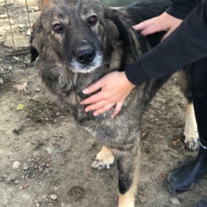 CINTHIA - reserviert Manuela vermittelt