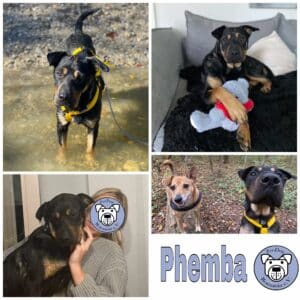 Phemba in 80997 München *vermittelt*